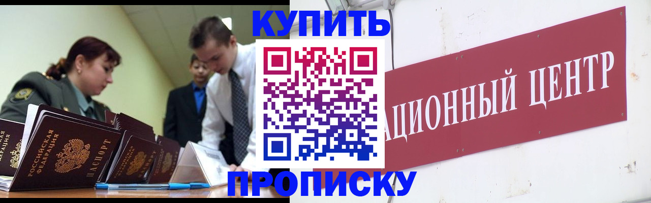 прописка поиск в Шебекино